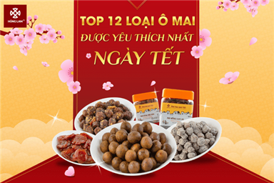 TOP 12 LOẠI Ô MAI KHÔNG THỂ THIẾU MỖI DỊP TẾT ĐẾN XUÂN VỀ 